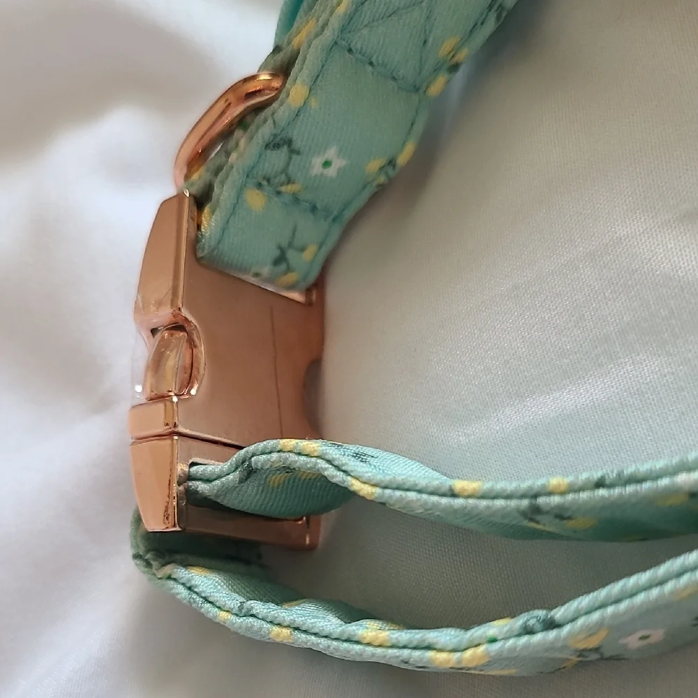 N/A cute teal